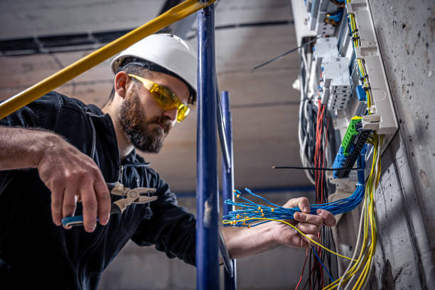 Best Electric Panel Repair  in Alum Creek, WV